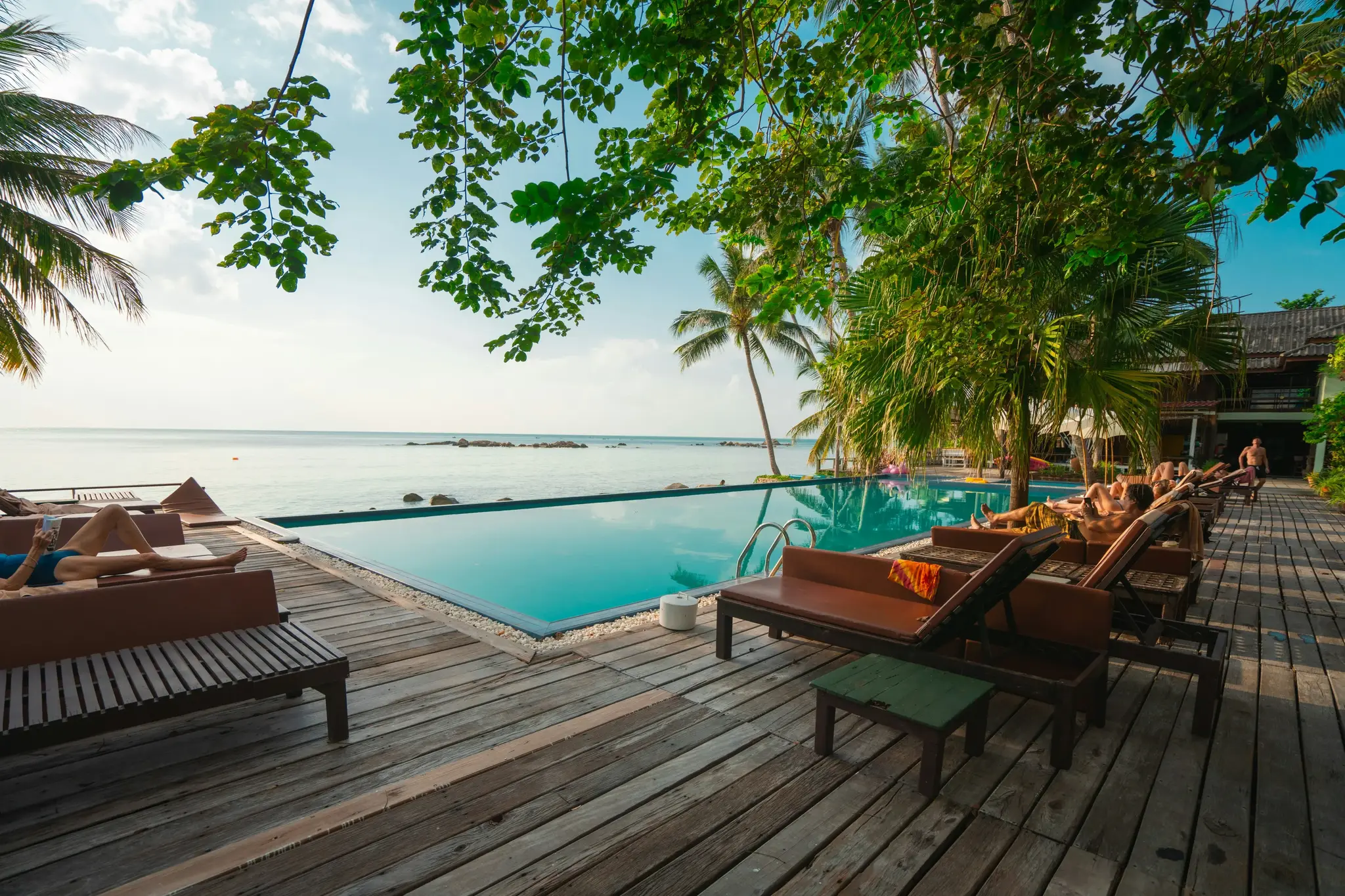 Loungers beside a pool under palm trees